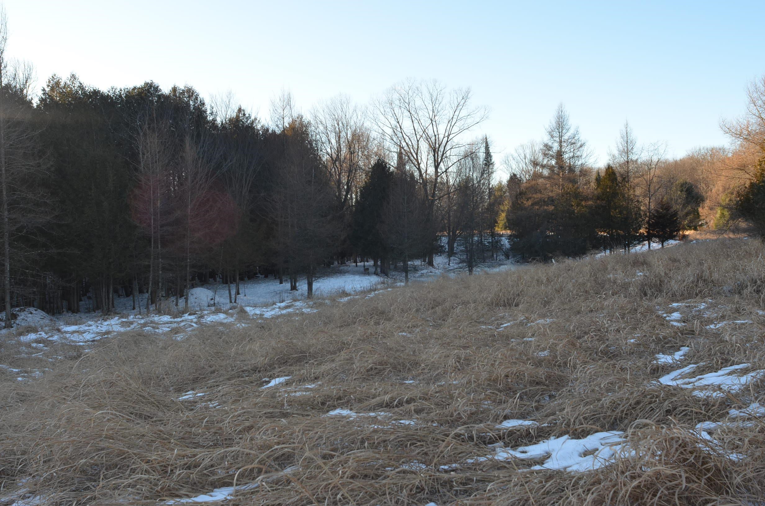 N3353 Comet Road Tigerton, WI 54486 - Photo 14 of 89