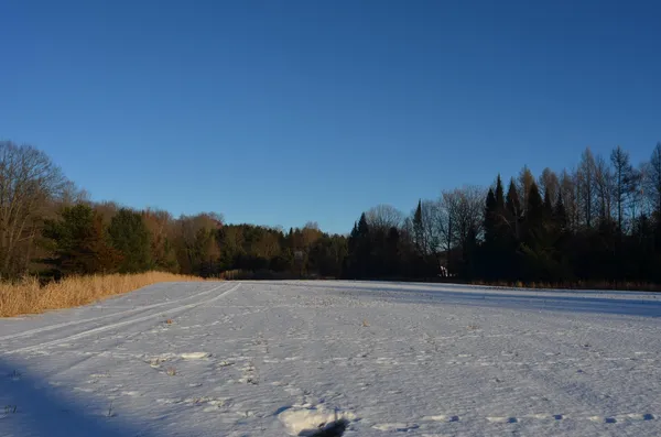 $5,000,000 | N3353 Comet Road, Tigerton, WI 54486
