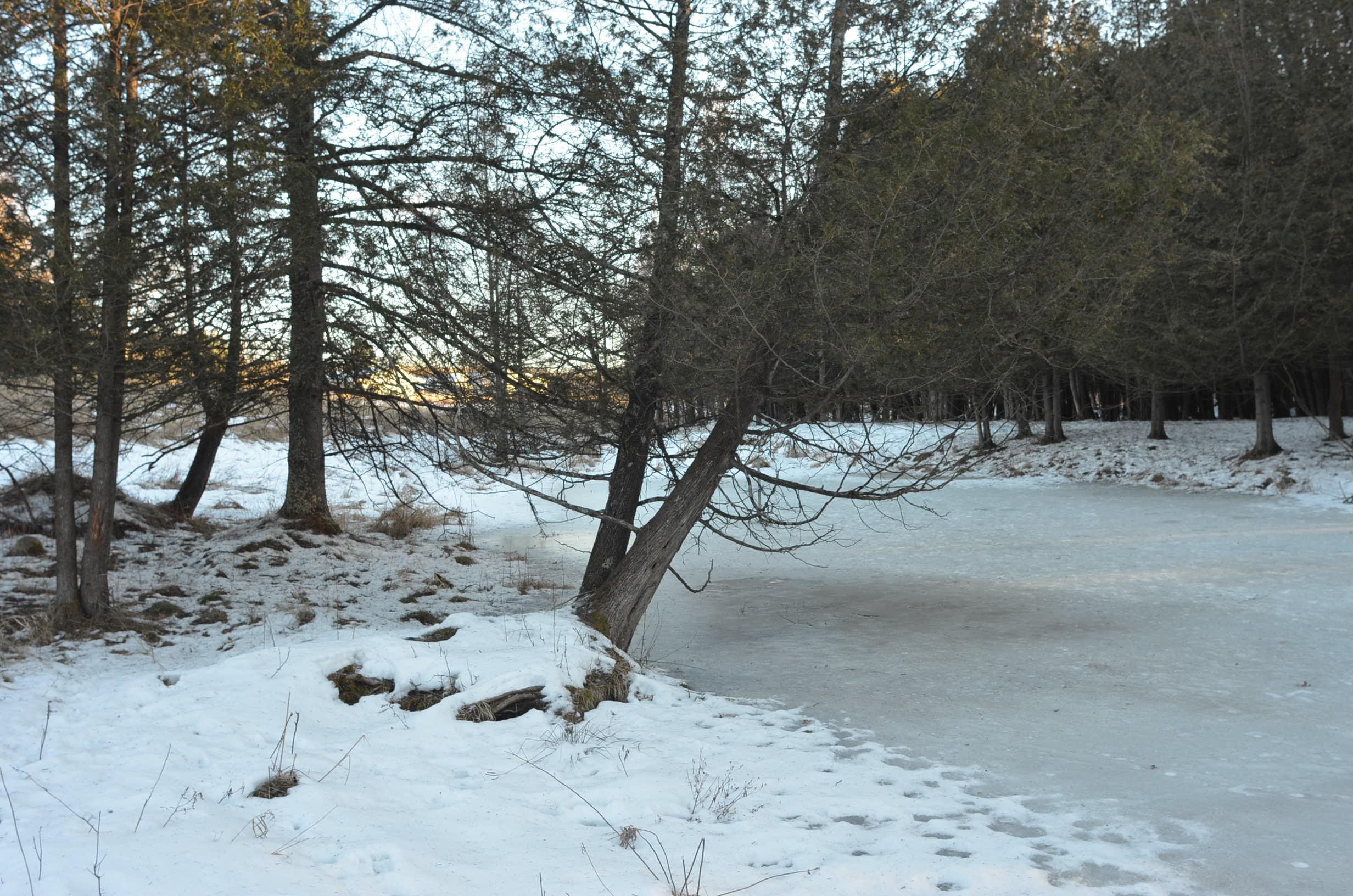 N3353 Comet Road Tigerton, WI 54486 - Photo 16 of 89