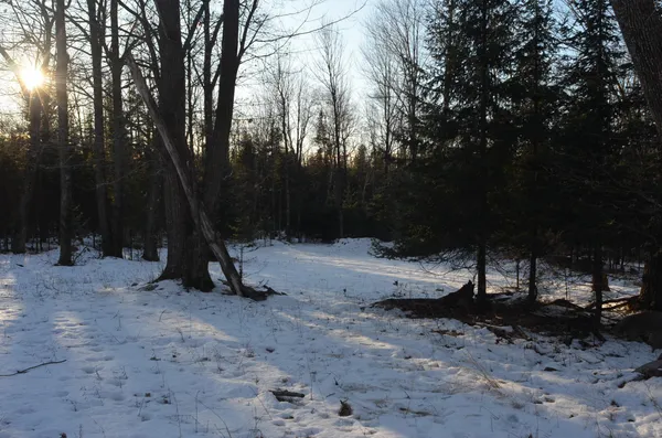 $5,000,000 | N3353 Comet Road, Tigerton, WI 54486