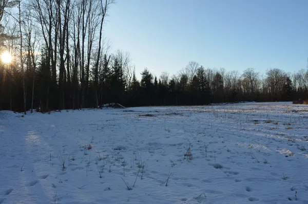 $5,000,000 | N3353 Comet Road, Tigerton, WI 54486