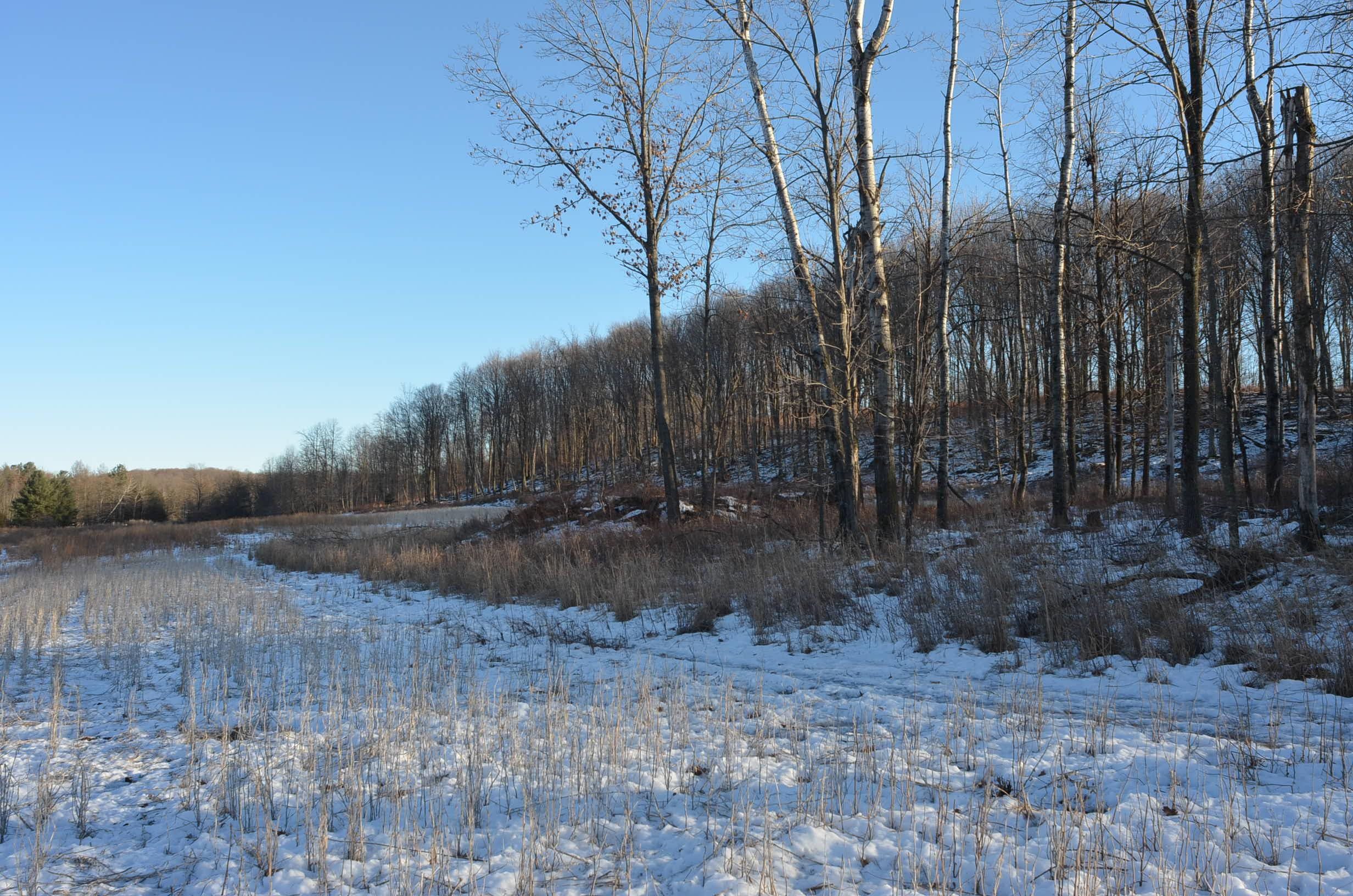 N3353 Comet Road Tigerton, WI 54486 - Photo 2 of 89