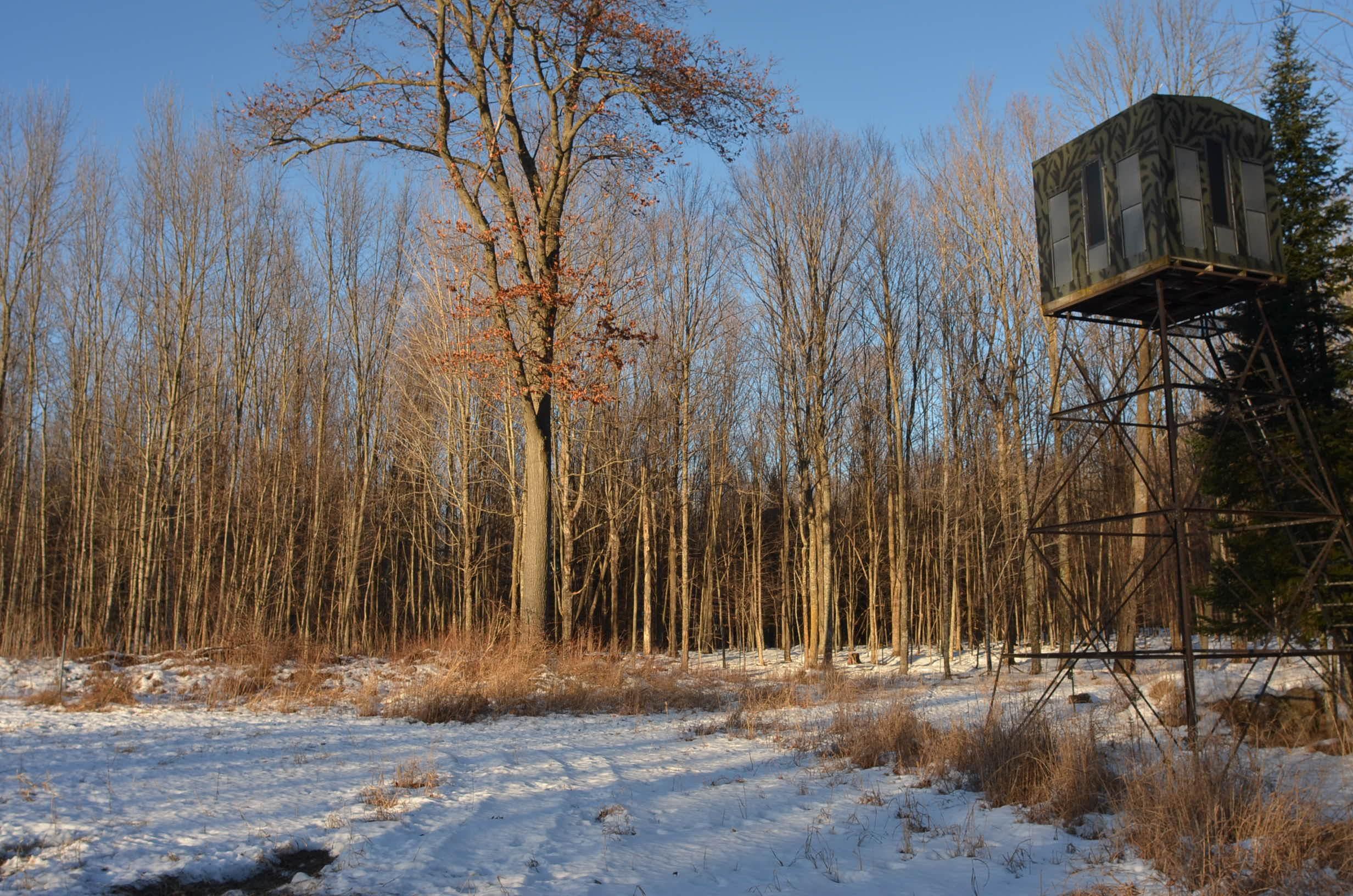 N3353 Comet Road Tigerton, WI 54486 - Photo 21 of 89