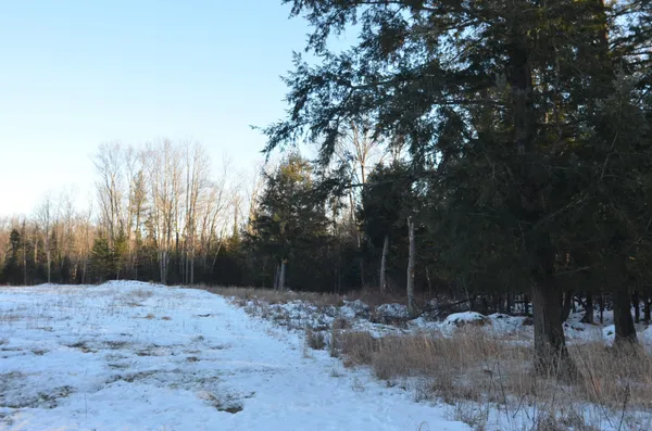 $5,000,000 | N3353 Comet Road, Tigerton, WI 54486