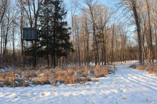 $5,000,000 | N3353 Comet Road, Tigerton, WI 54486