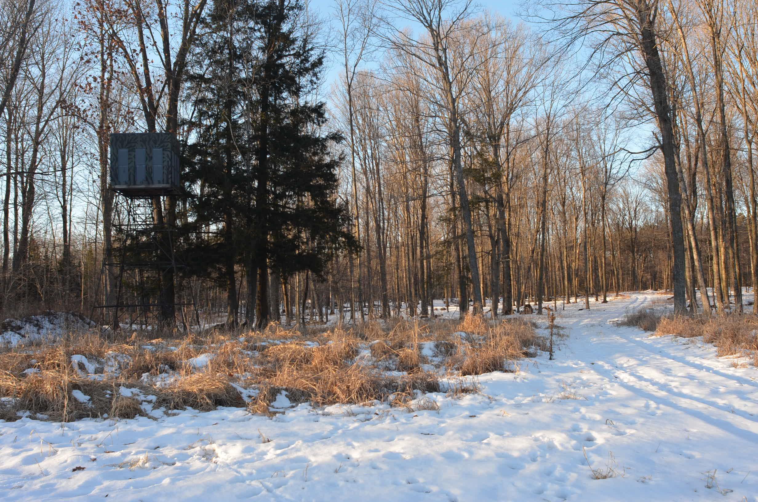 N3353 Comet Road Tigerton, WI 54486 - Photo 24 of 89