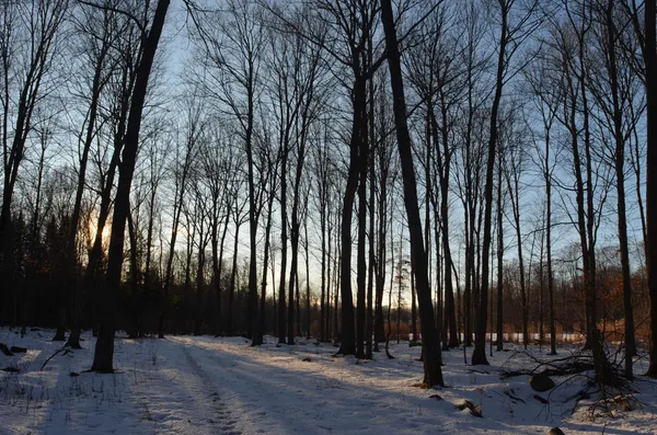 $5,000,000 | N3353 Comet Road, Tigerton, WI 54486