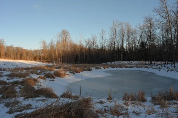 $5,000,000 | N3353 Comet Road, Tigerton, WI 54486