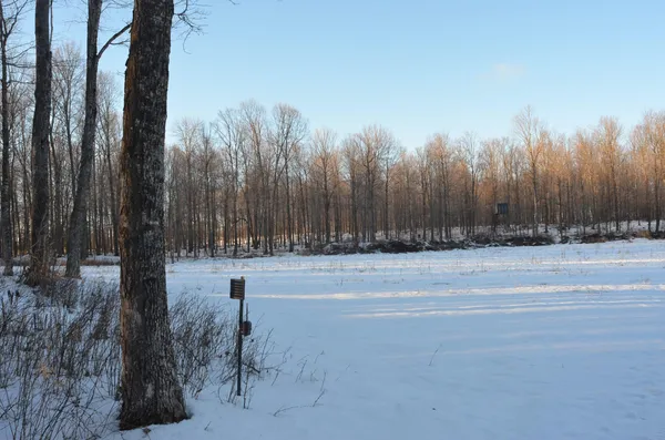 $5,000,000 | N3353 Comet Road, Tigerton, WI 54486