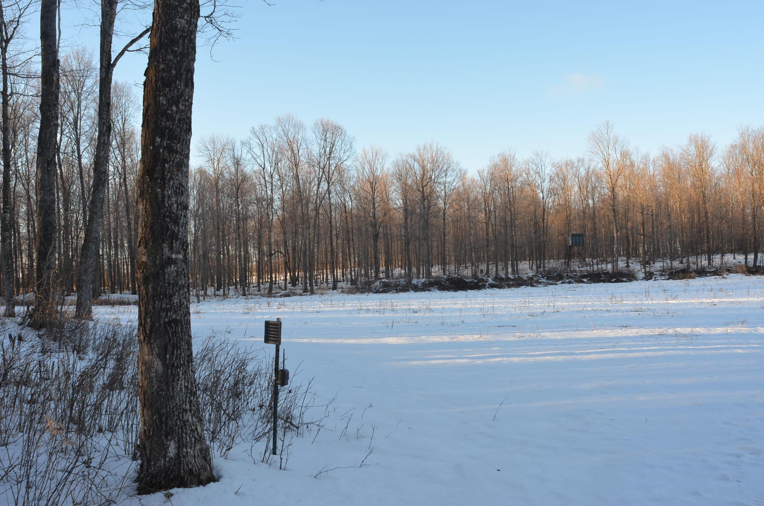 N3353 Comet Road Tigerton, WI 54486 - Photo 29 of 89