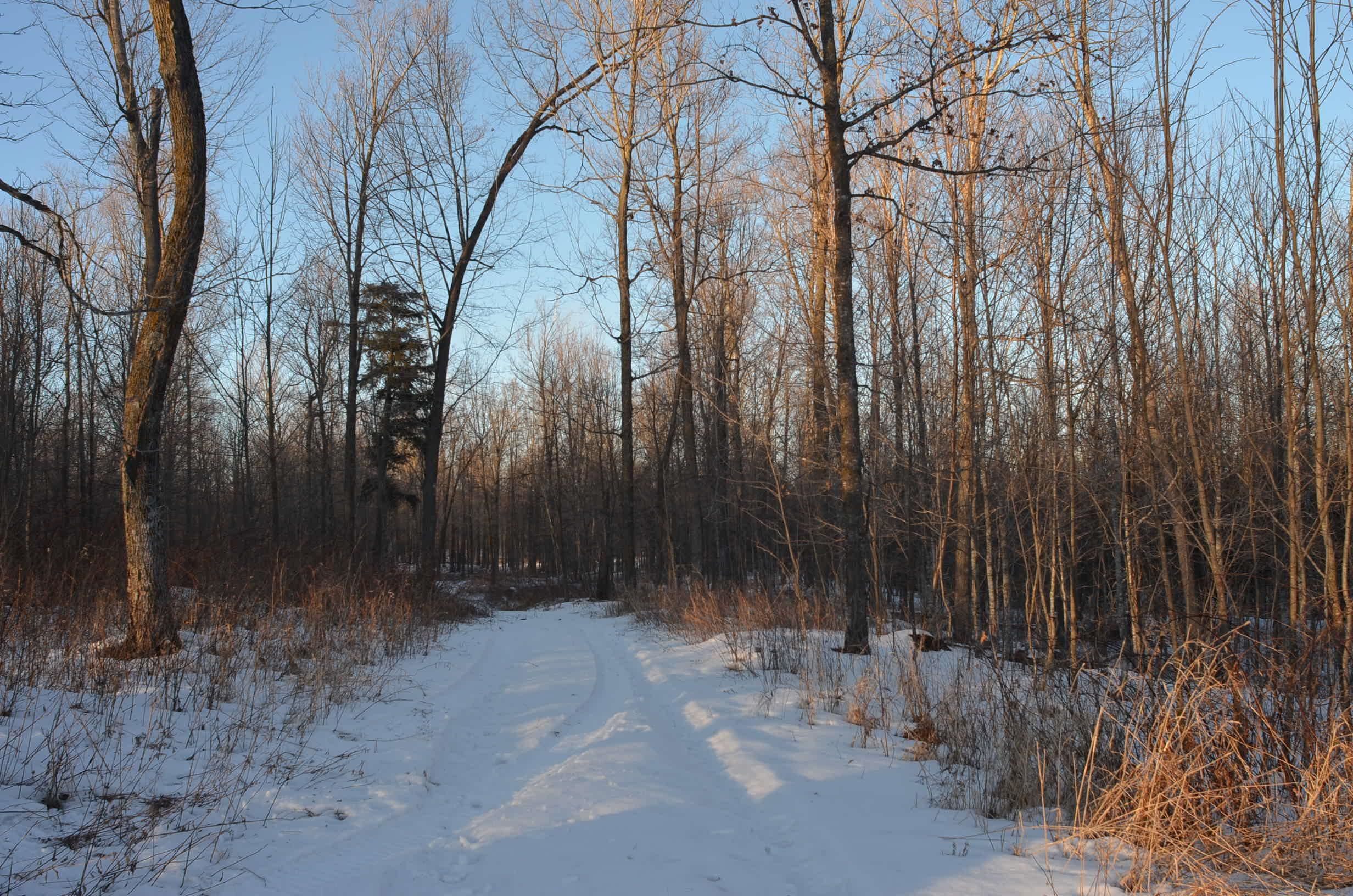 N3353 Comet Road Tigerton, WI 54486 - Photo 30 of 89