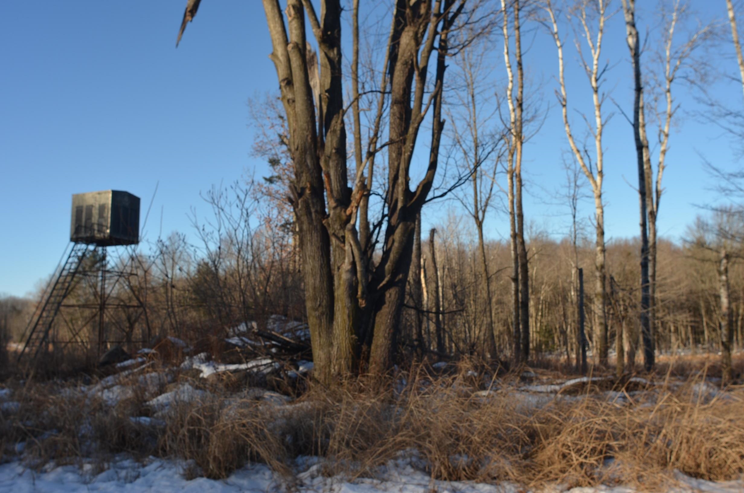 N3353 Comet Road Tigerton, WI 54486 - Photo 3 of 89