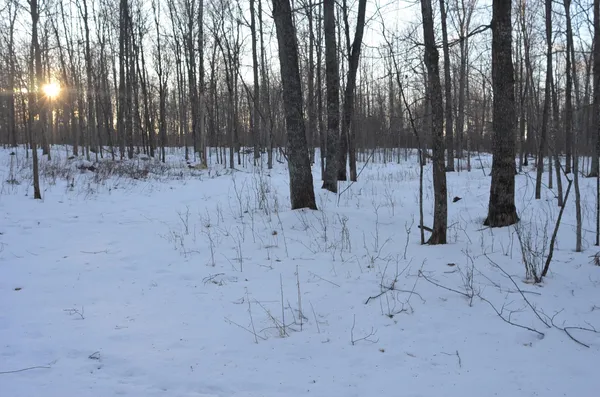 $5,000,000 | N3353 Comet Road, Tigerton, WI 54486