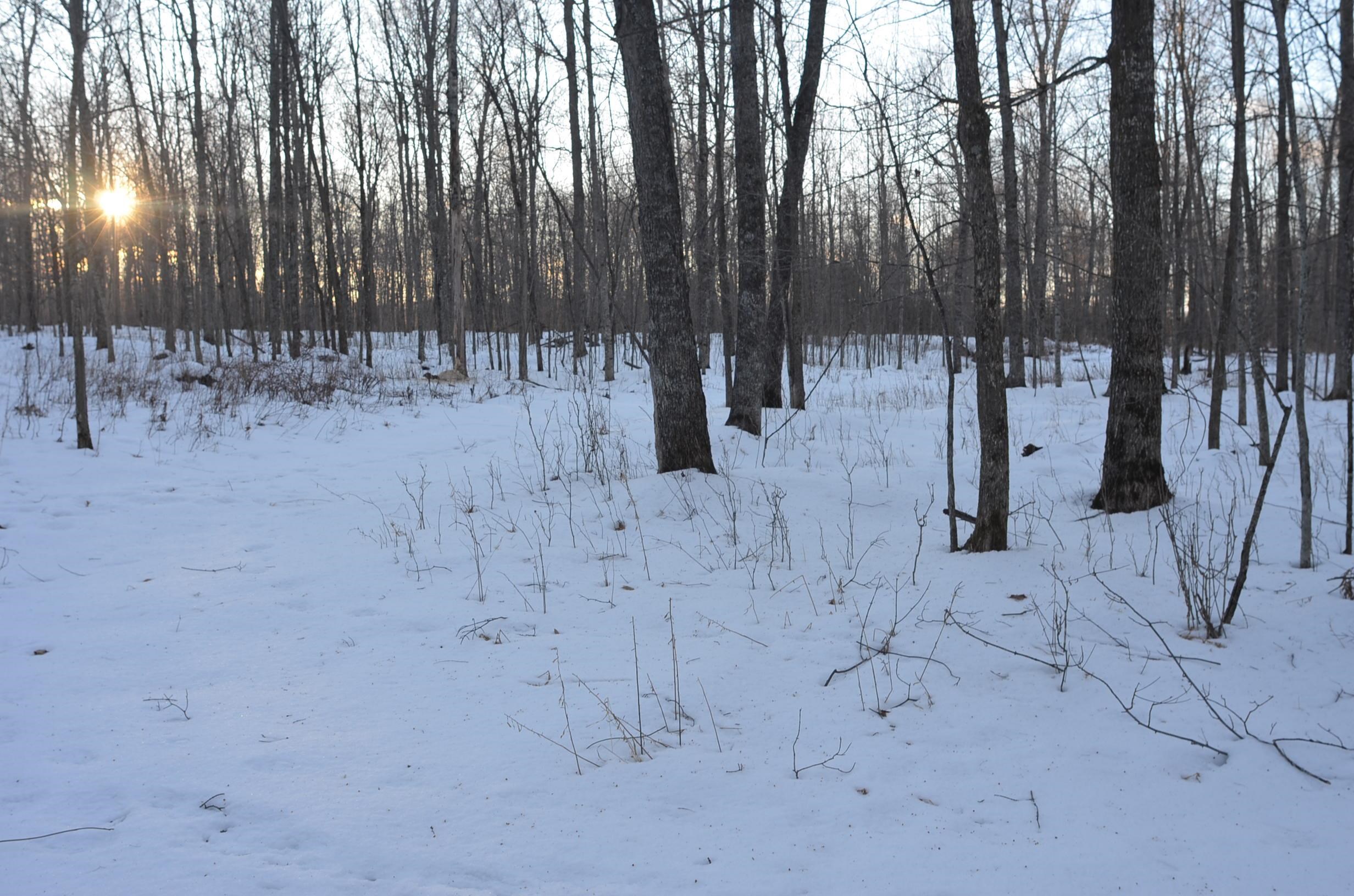 N3353 Comet Road Tigerton, WI 54486 - Photo 31 of 89