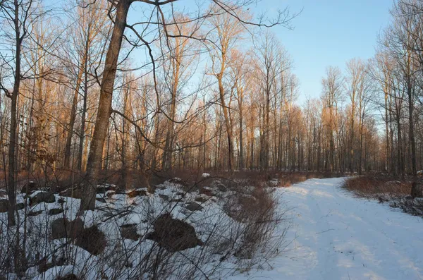 $5,000,000 | N3353 Comet Road, Tigerton, WI 54486