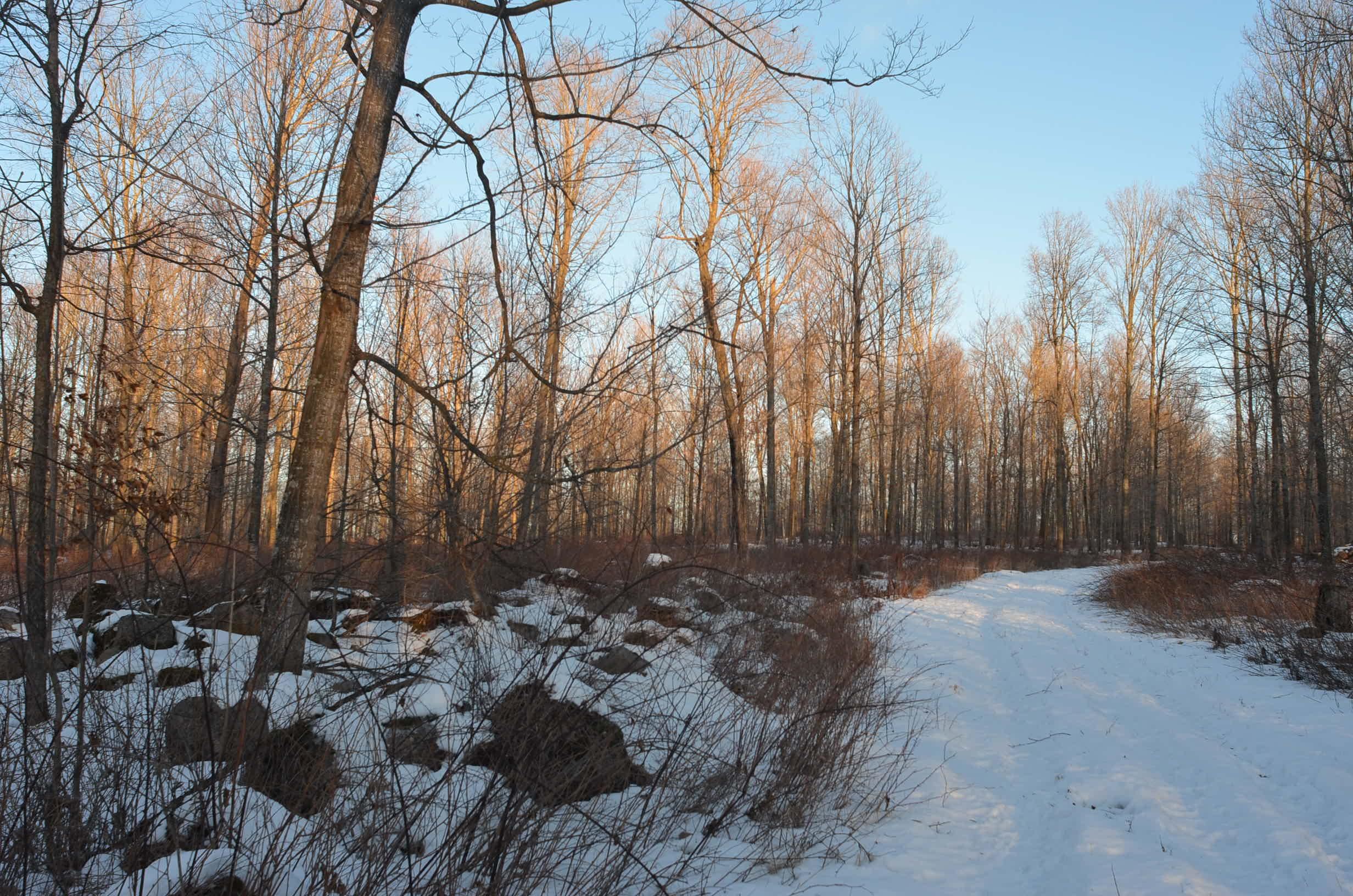 N3353 Comet Road Tigerton, WI 54486 - Photo 32 of 89