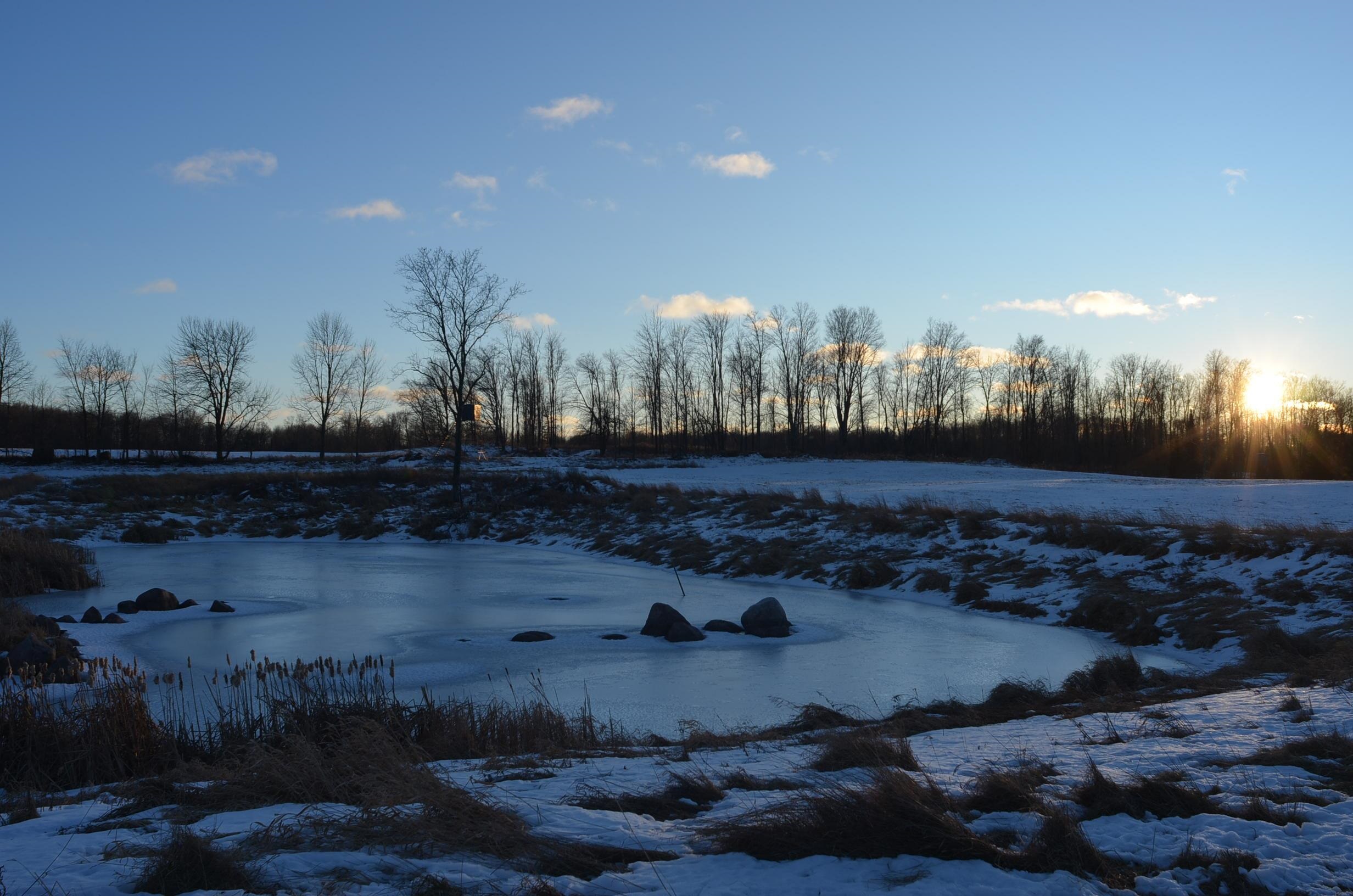 N3353 Comet Road Tigerton, WI 54486 - Photo 33 of 89