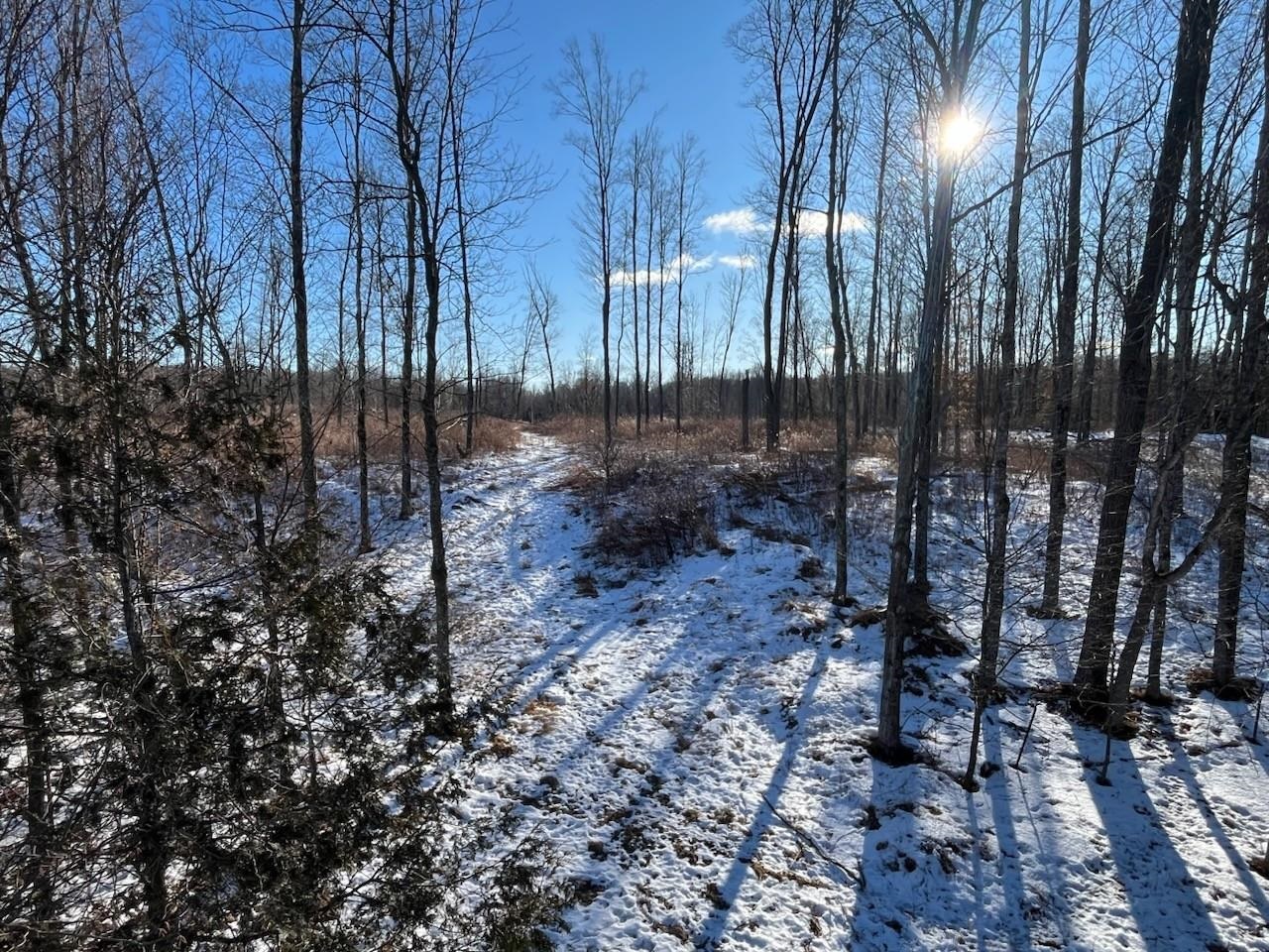 N3353 Comet Road Tigerton, WI 54486 - Photo 35 of 89