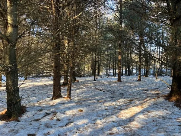 $5,000,000 | N3353 Comet Road, Tigerton, WI 54486