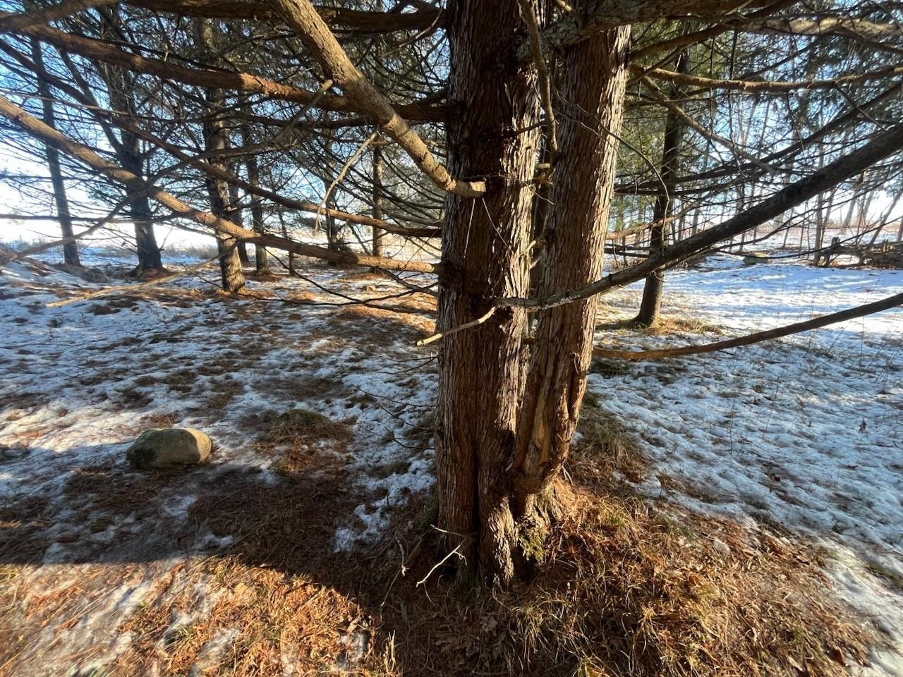 N3353 Comet Road Tigerton, WI 54486 - Photo 37 of 89