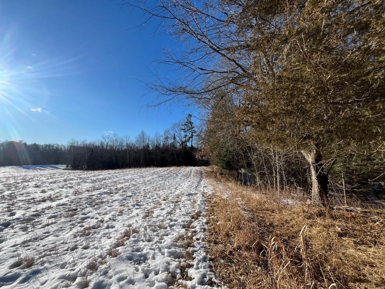 N3353 Comet Road Tigerton, WI 54486 - Photo 38 of 89
