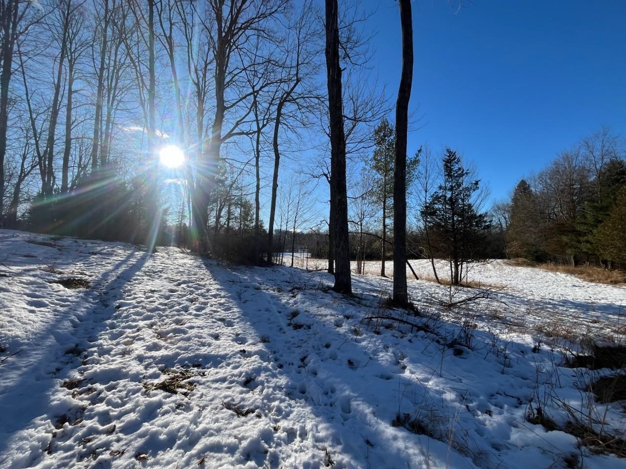N3353 Comet Road Tigerton, WI 54486 - Photo 39 of 89