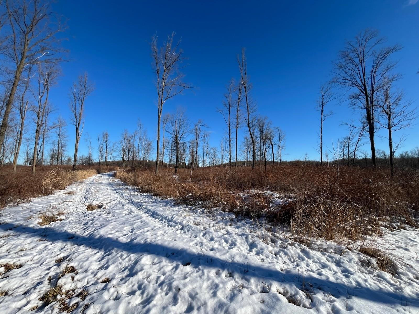 N3353 Comet Road Tigerton, WI 54486 - Photo 41 of 89
