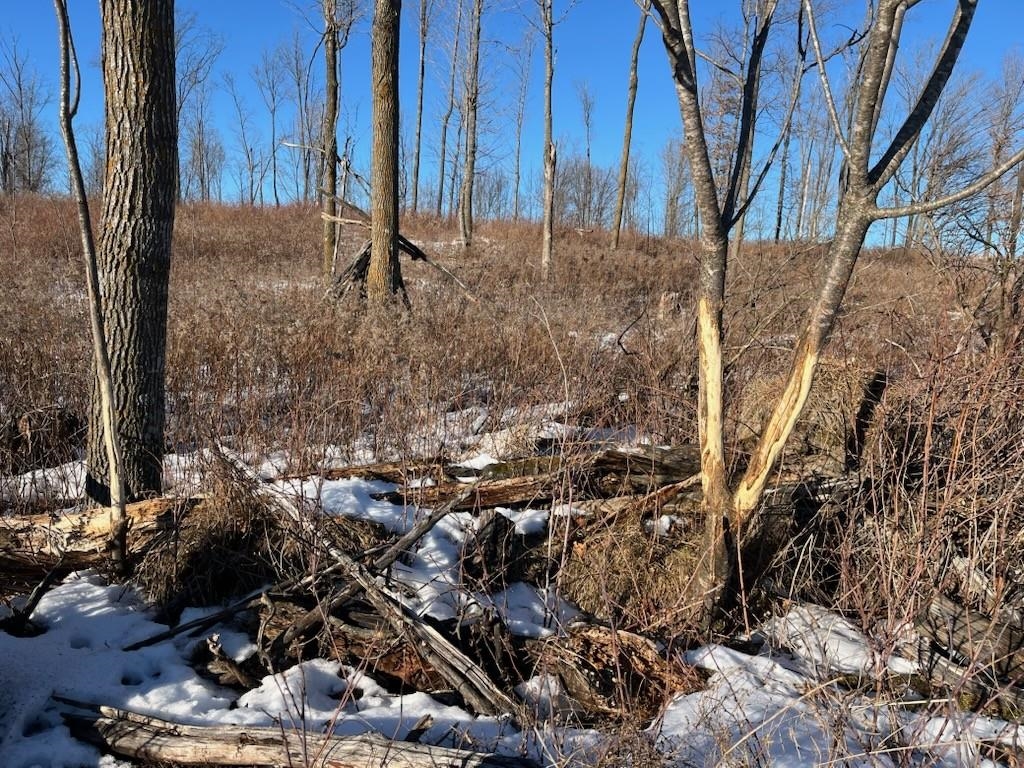 N3353 Comet Road Tigerton, WI 54486 - Photo 42 of 89