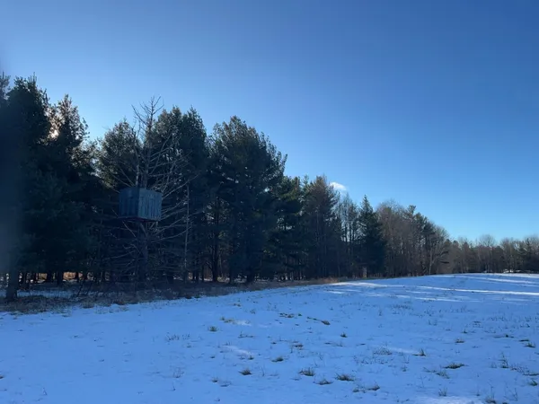 $5,000,000 | N3353 Comet Road, Tigerton, WI 54486