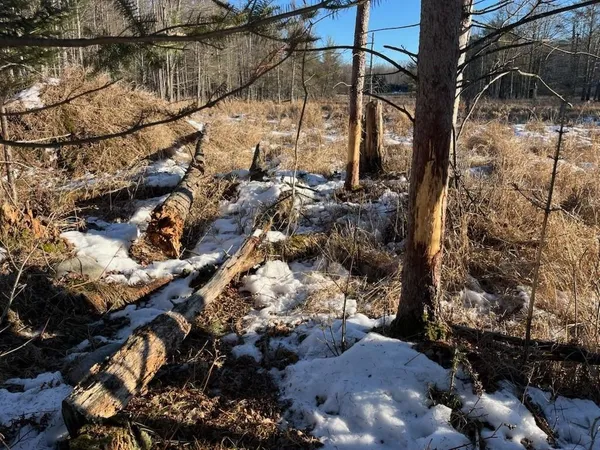 $5,000,000 | N3353 Comet Road, Tigerton, WI 54486