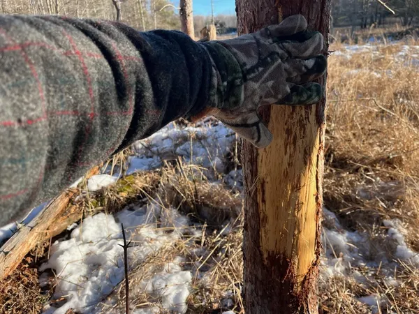 $5,000,000 | N3353 Comet Road, Tigerton, WI 54486