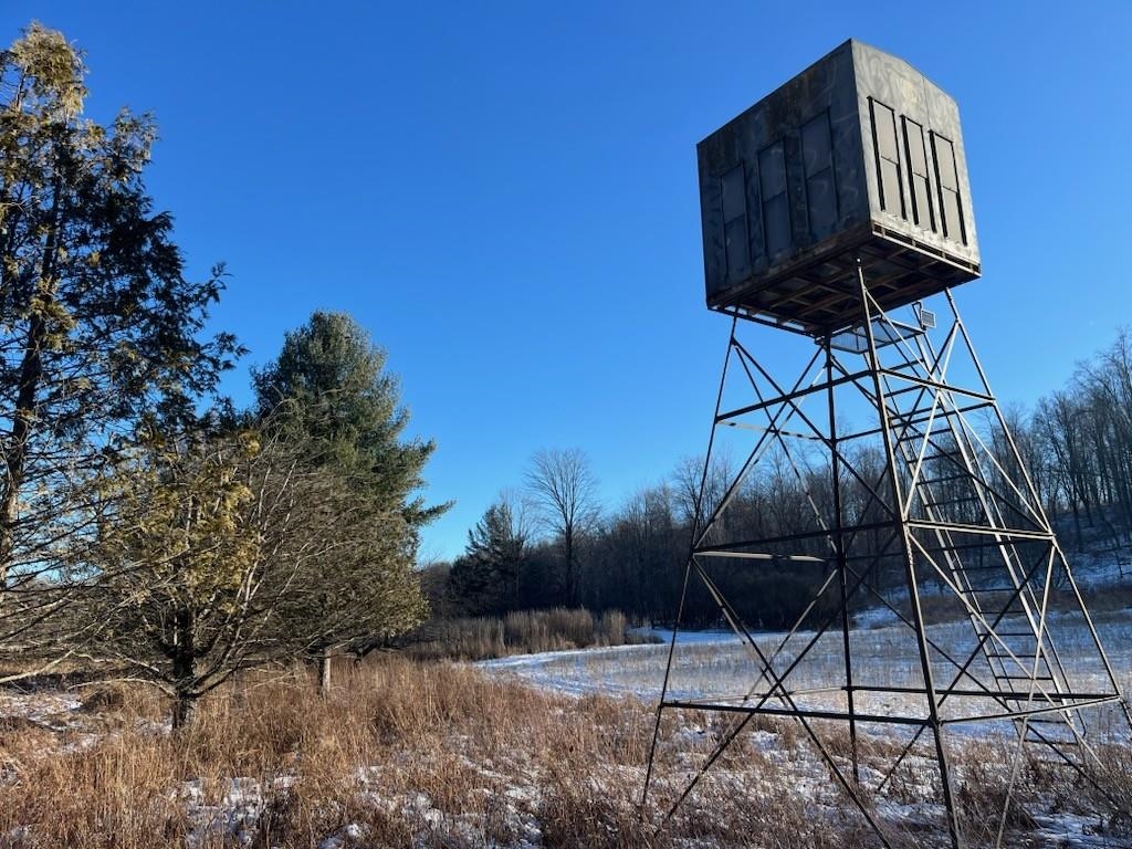 N3353 Comet Road Tigerton, WI 54486 - Photo 47 of 89