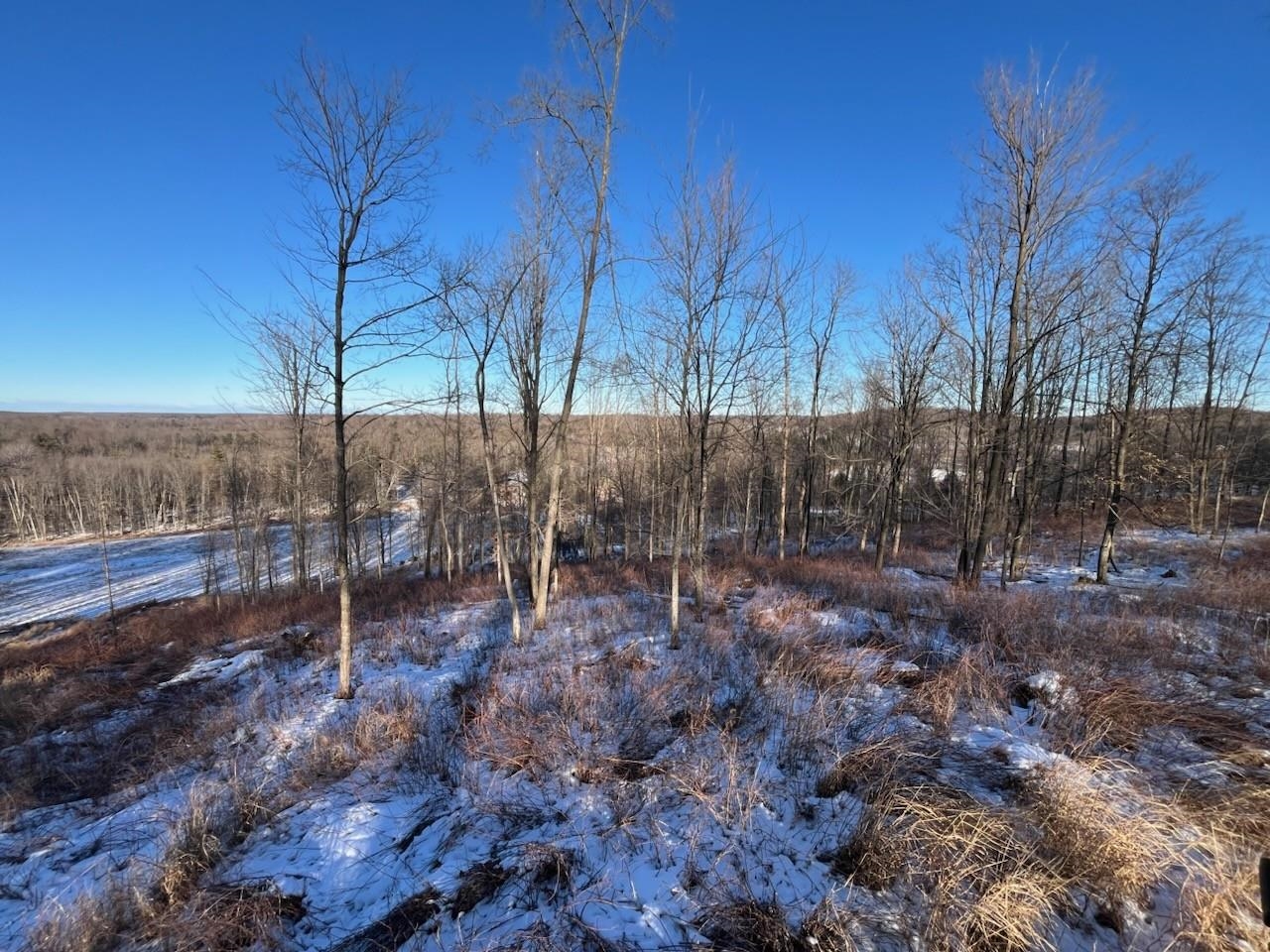 N3353 Comet Road Tigerton, WI 54486 - Photo 48 of 89