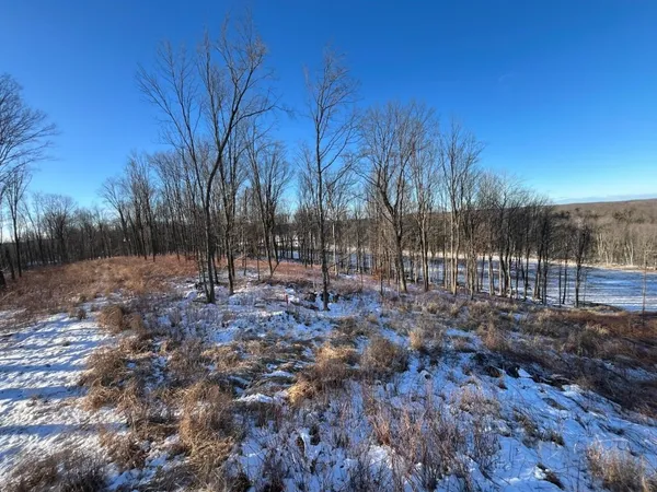 $5,000,000 | N3353 Comet Road, Tigerton, WI 54486