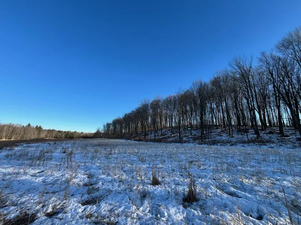 $5,000,000 | N3353 Comet Road, Tigerton, WI 54486