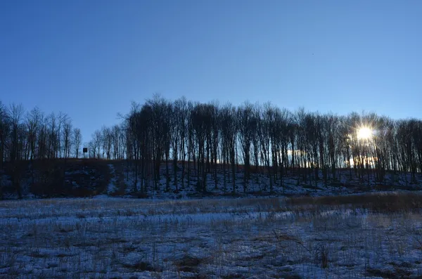 $5,000,000 | N3353 Comet Road, Tigerton, WI 54486