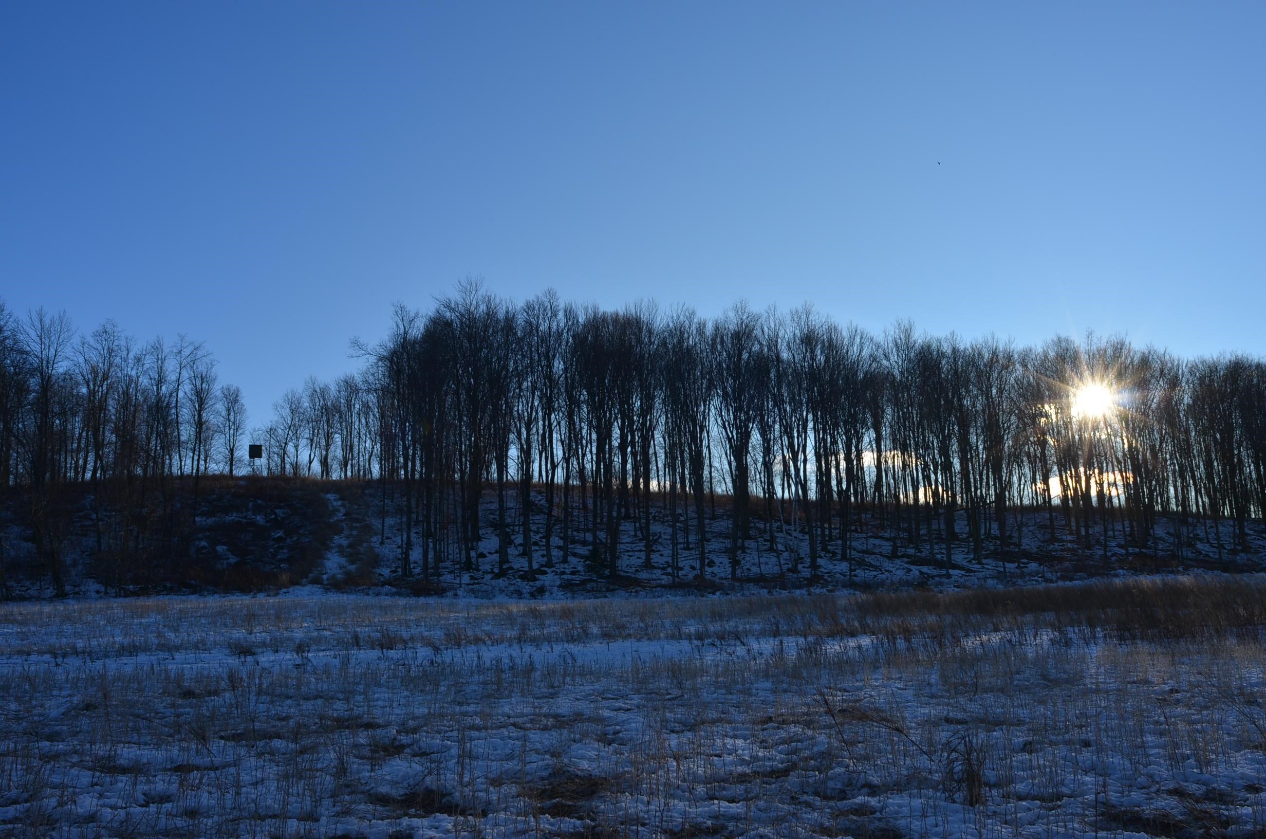 N3353 Comet Road Tigerton, WI 54486 - Photo 52 of 89