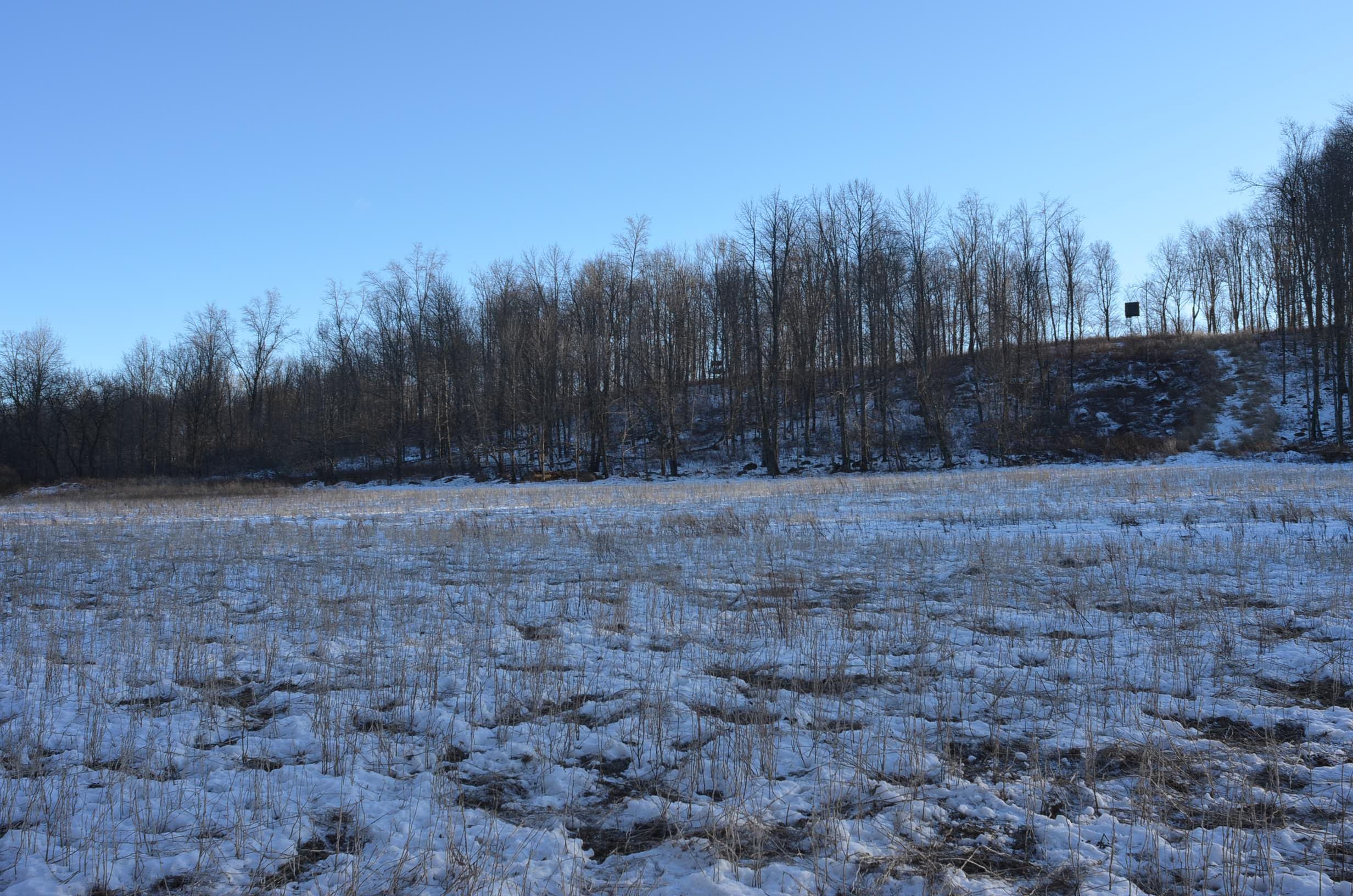 N3353 Comet Road Tigerton, WI 54486 - Photo 53 of 89