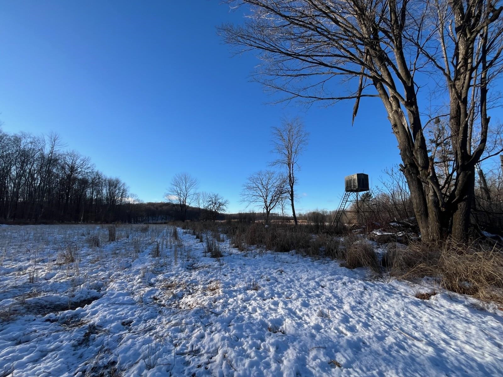 N3353 Comet Road Tigerton, WI 54486 - Photo 54 of 89