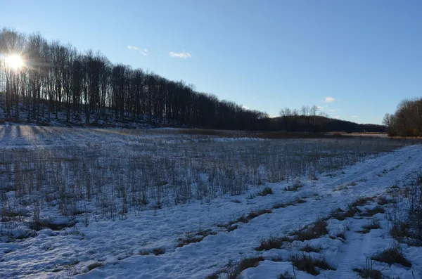 $5,000,000 | N3353 Comet Road, Tigerton, WI 54486