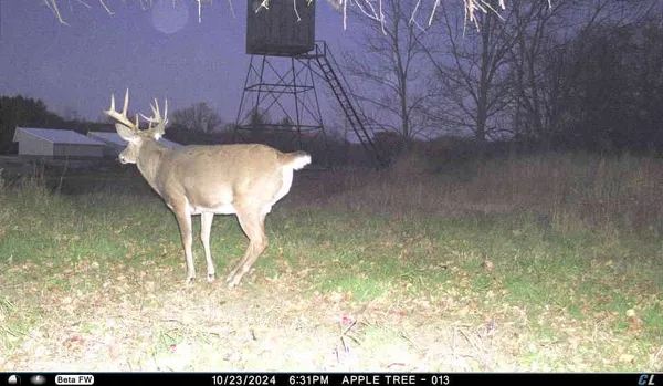 $5,000,000 | N3353 Comet Road, Tigerton, WI 54486