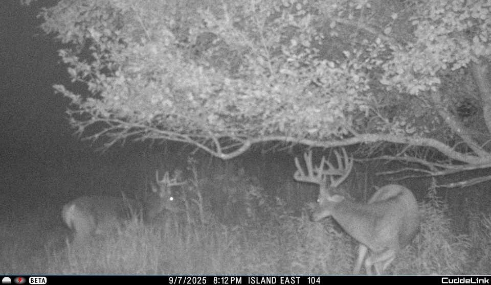 N3353 Comet Road Tigerton, WI 54486 - Photo 59 of 89