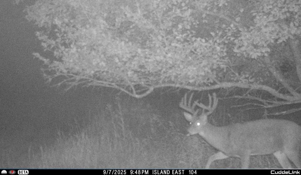 N3353 Comet Road Tigerton, WI 54486 - Photo 60 of 89