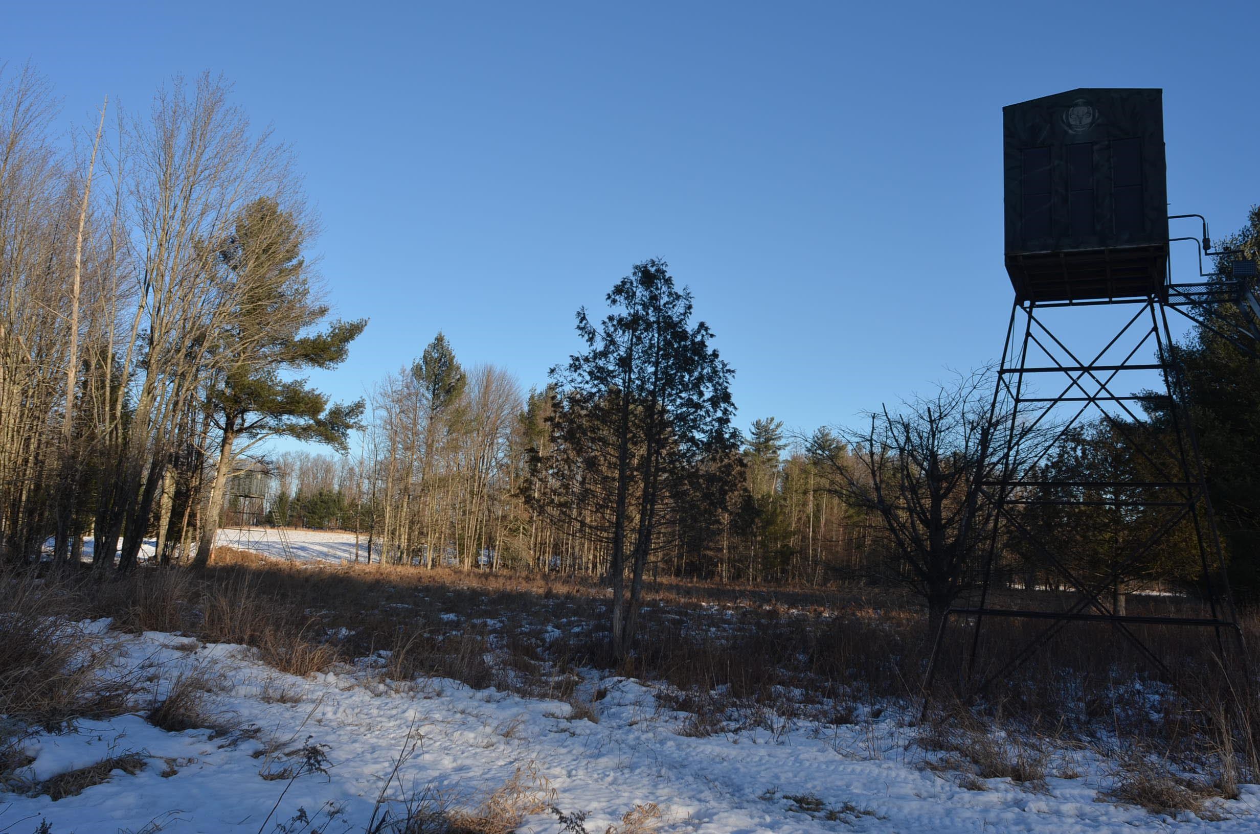 N3353 Comet Road Tigerton, WI 54486 - Photo 6 of 89