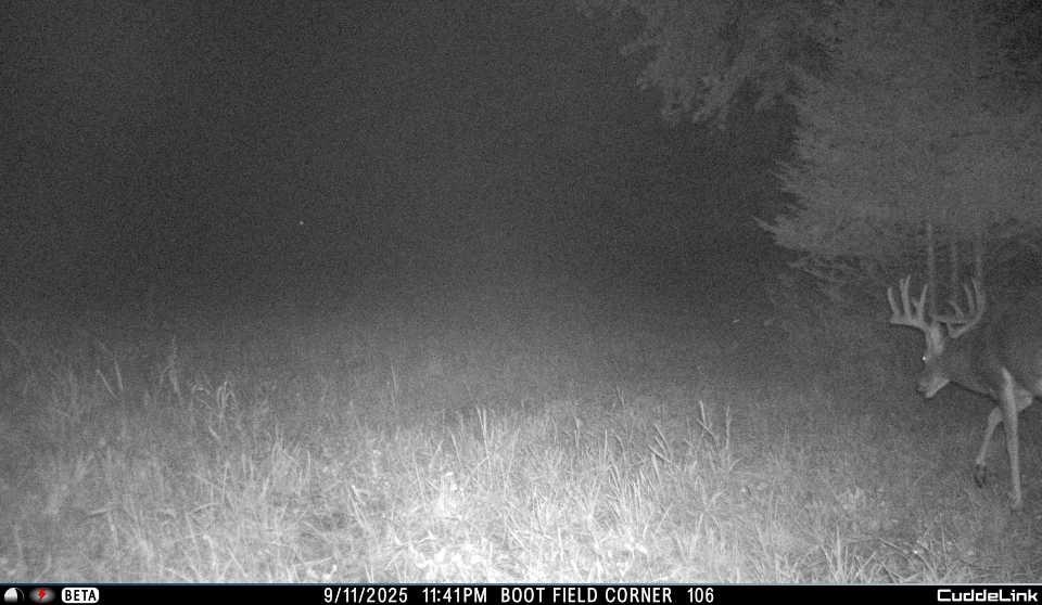 N3353 Comet Road Tigerton, WI 54486 - Photo 63 of 89