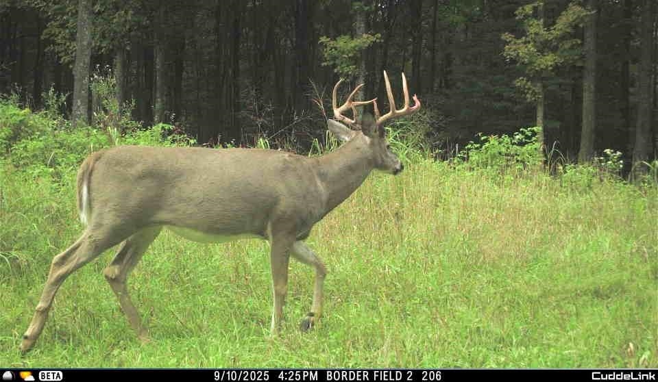 N3353 Comet Road Tigerton, WI 54486 - Photo 64 of 89