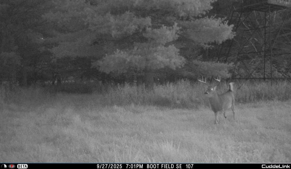 N3353 Comet Road Tigerton, WI 54486 - Photo 65 of 89