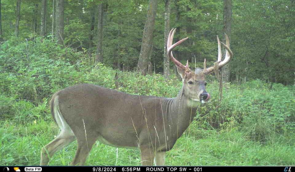 N3353 Comet Road Tigerton, WI 54486 - Photo 69 of 89