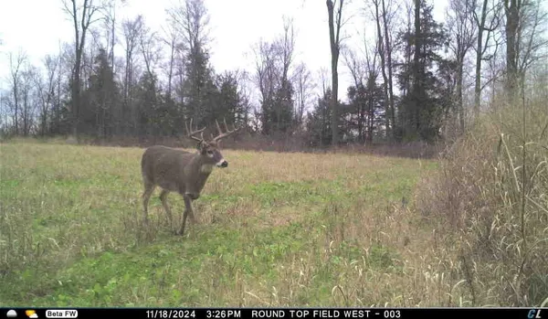 $5,000,000 | N3353 Comet Road, Tigerton, WI 54486