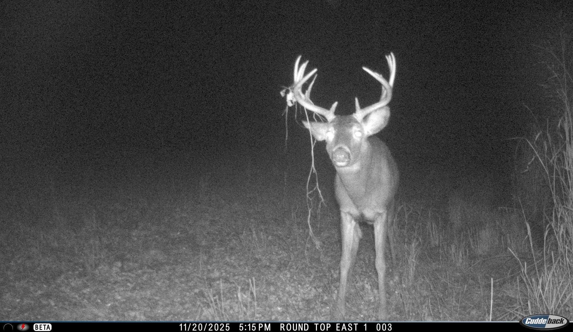 N3353 Comet Road Tigerton, WI 54486 - Photo 72 of 89